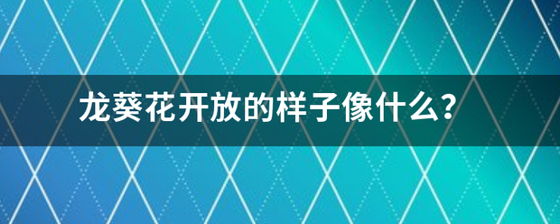 龙葵花开放的样子像什么？