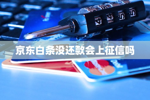 京东白条购物上不上征信(京东白条购物上不上征信记录) 第1张 京东白条购物上不上征信(京东白条购物上不上征信记录) 第1张
