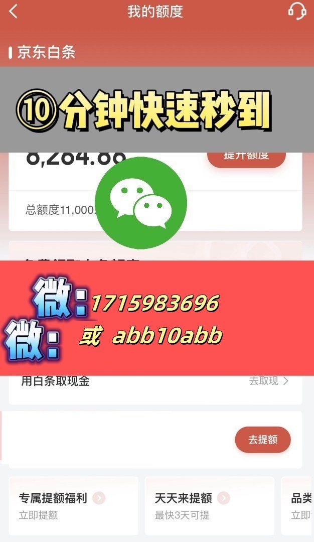 羊小咩消费额度怎么变现.点击2.白条额度官网.中国(羊小咩的消费额度怎么用)